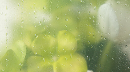 Душ «Летний дождь»