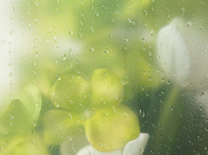 Душ «Летний дождь»