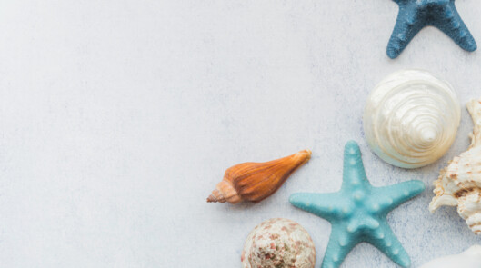 SPA-программа «Морской бриз»