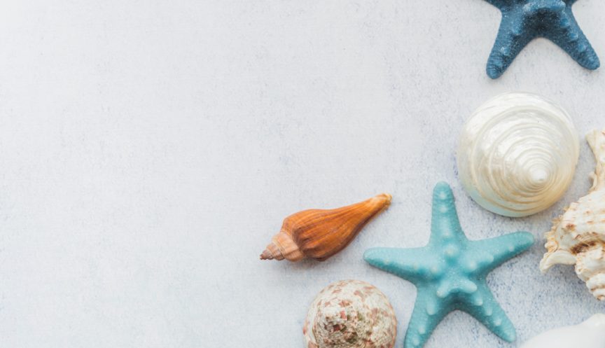 SPA-программа «Морской бриз»