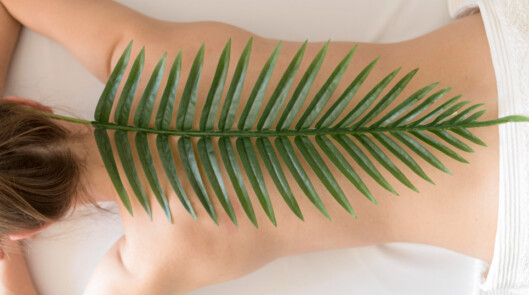 SPA-программа «Талассо — красота из моря»