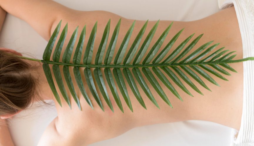 SPA-программа «Талассо — красота из моря»